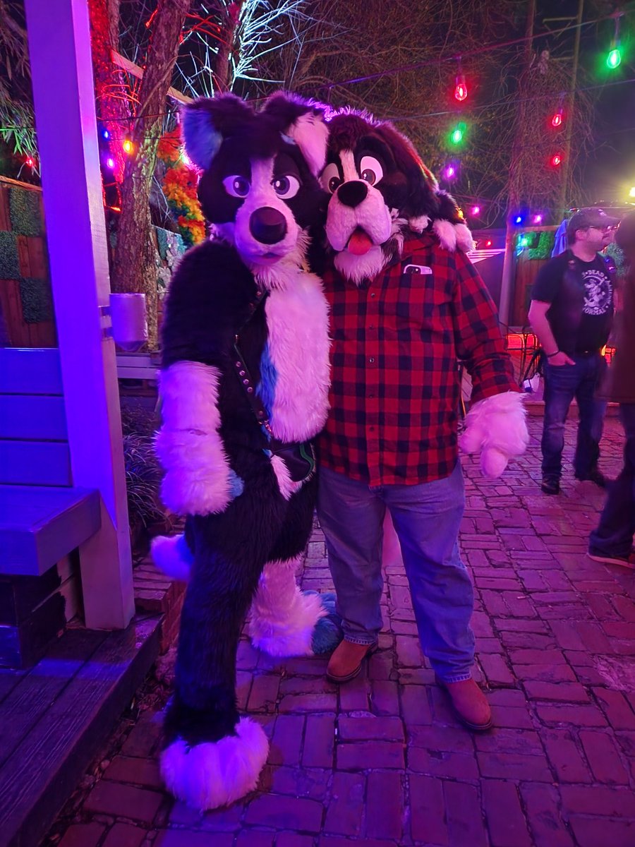 Ember Collie tweet media