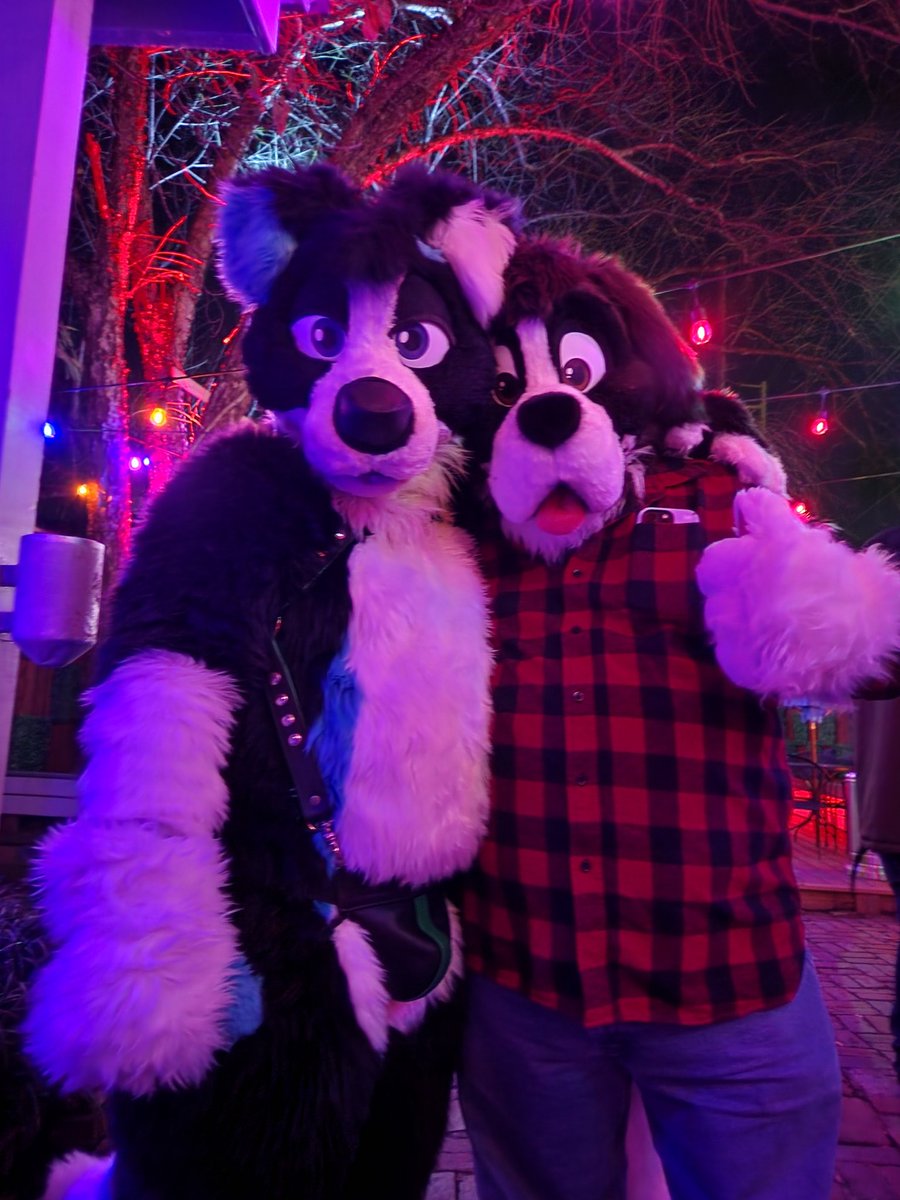 Ember Collie tweet media