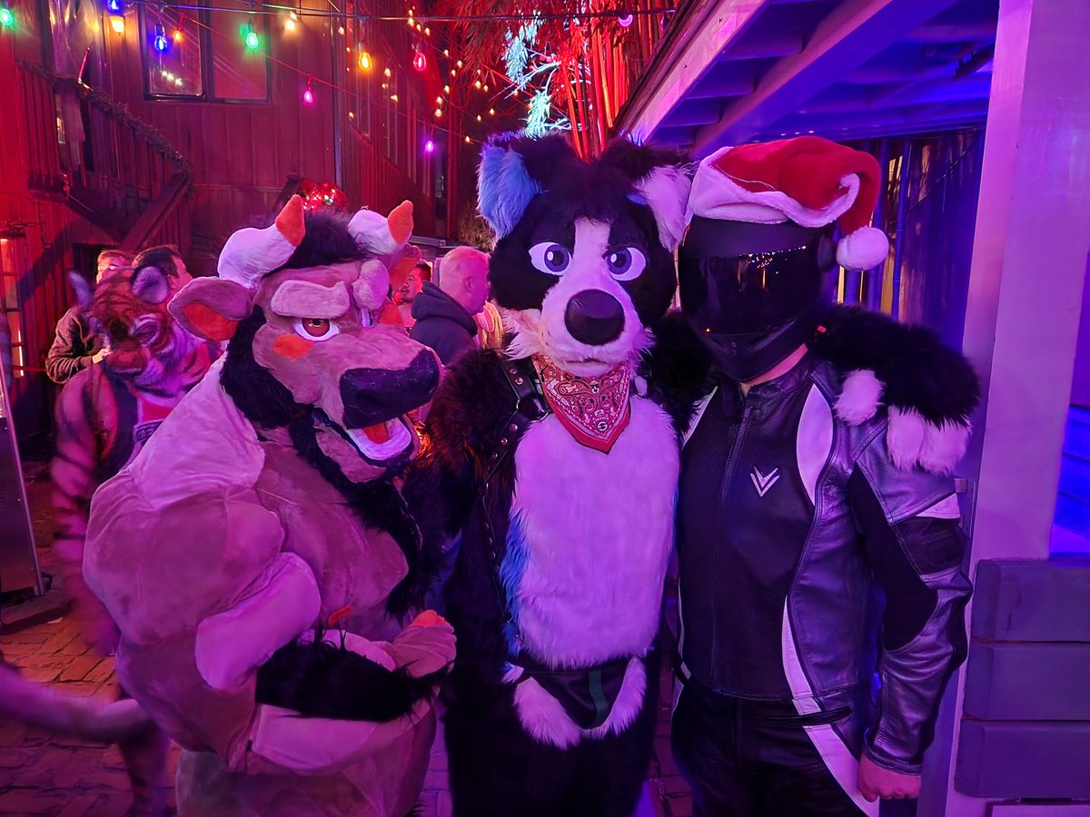 Ember Collie tweet media