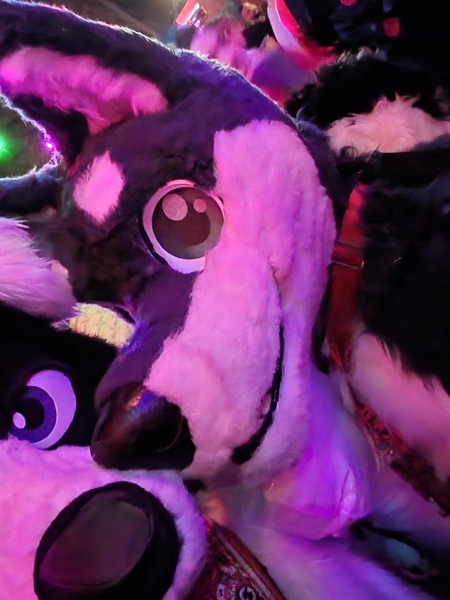 Wild time at the <a href="/AtlantaEagle/">Atlanta Eagle</a> Furry Night!

#FursuitEveryday