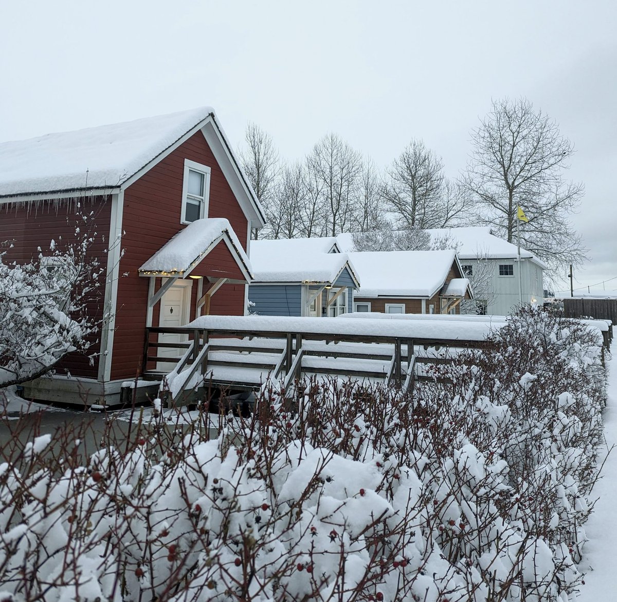 Britannia Shipyards NHS tweet media