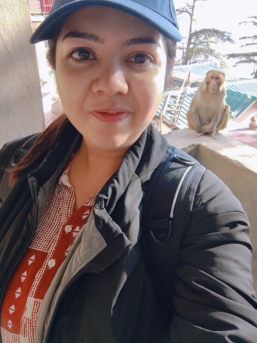 Bidisha_02's tweet photo. Sweet, chunky, sometimes a little 'no thoughts head empty' Bindu ❤️
In Hindi, the black dot on the forehead is called bindi, which is where Bindu got her name from.

Pictures are taken at a safe distance from the monkeys. 
#monkeysofindia #monkeybusiness #rhesusmacaques https://t.co/QednQLM3pa
