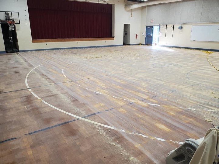 SCSbyFlooraction tweet media