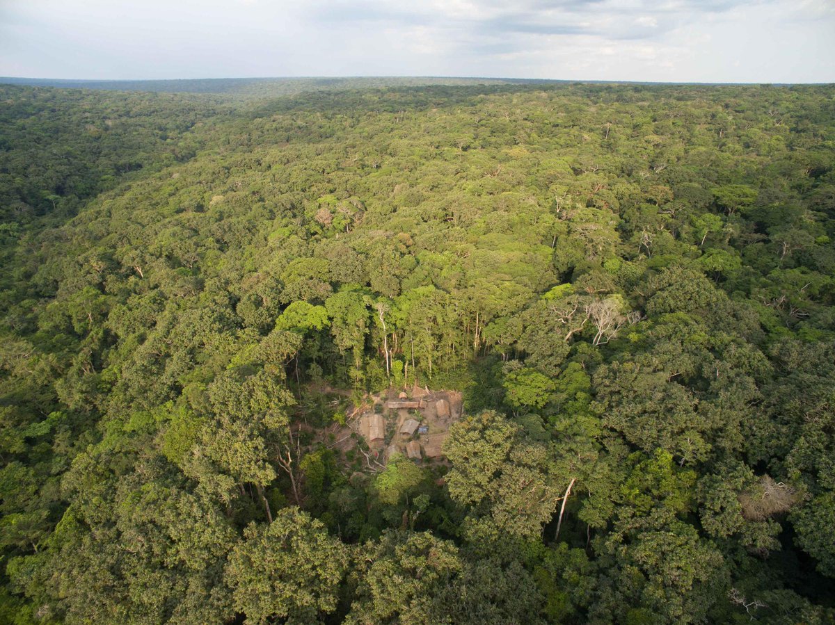 Our new paper provides a compelling argument that wild animal research stations are CRITICAL aspects of conservation. Because much of conservation efforts are detached from the lives of wild animals, the value that behavioral research provides to conservation is often forgotten.