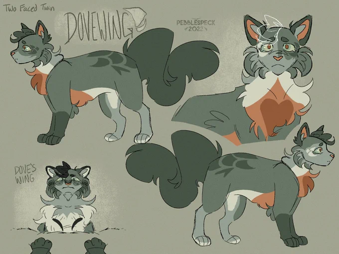 Two Faced Twin designs (2/2)#warriorcats #warriors #art 