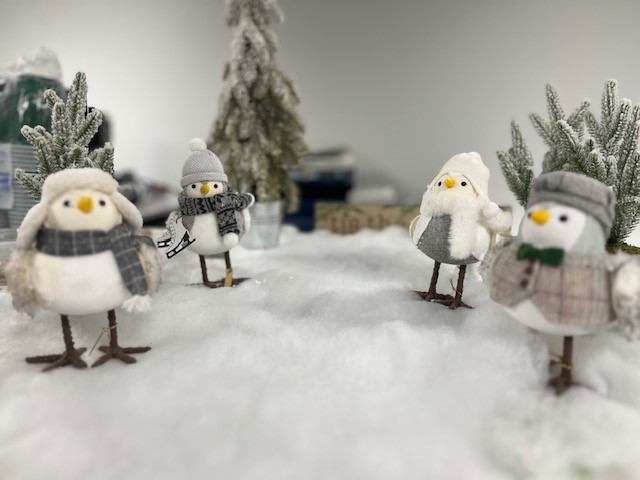 Case Systems, Inc. tweet media