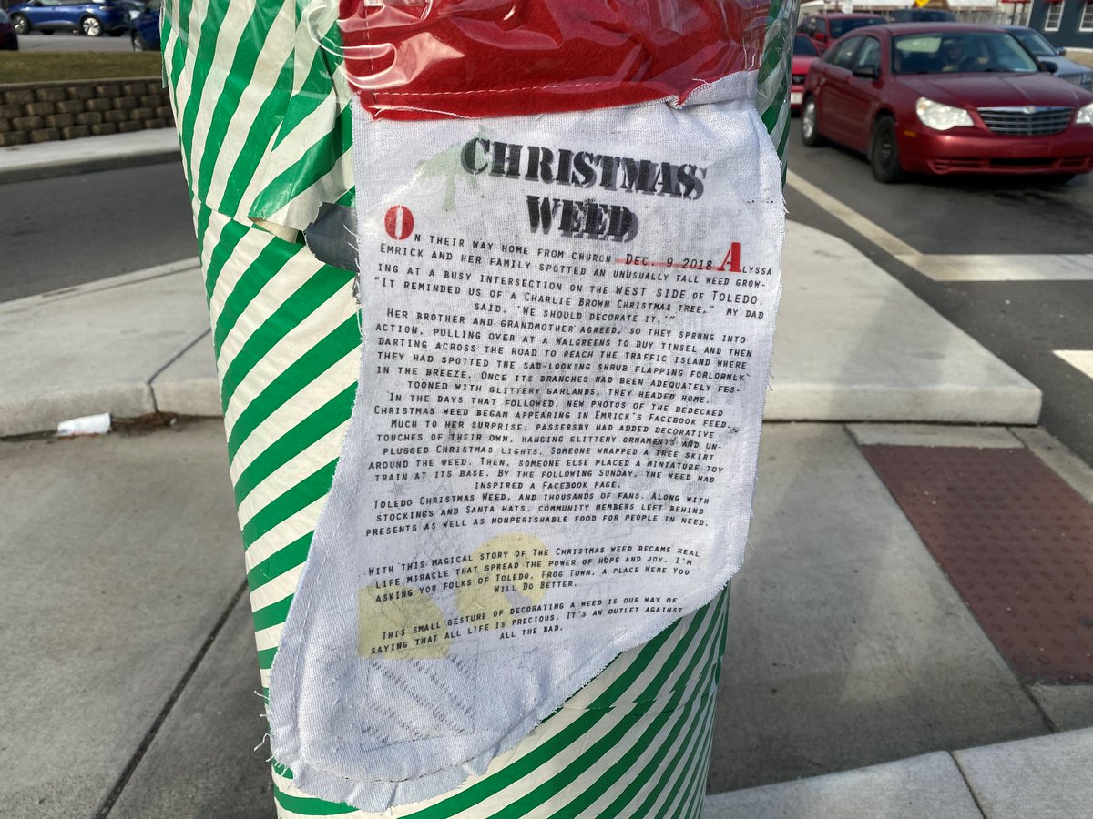 13abc's tweet photo. Oh Christmas weed, oh Christmas weed...
It’s back! 🎄 https://t.co/EBwva39N56
