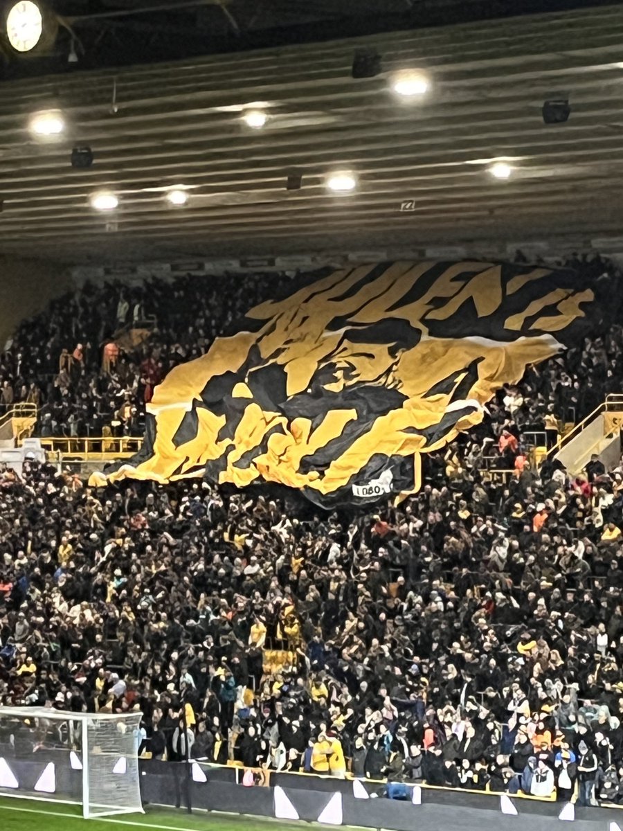 Julen is a wolf #coyw