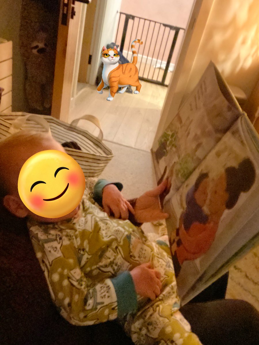 maddashe's tweet photo. If you’re looking for a last minute bookish gift for a LO in your life, I recommend #Puddling! by @_EmmaPerry and #ClaireAlexander ☔️ This lil guy has had me read it 10 x a day for the last week 😂 Fortunately it’s a lovely, hygge read! Especially in this rainy winter weather. 💦 https://t.co/GTHxNoXMu8
