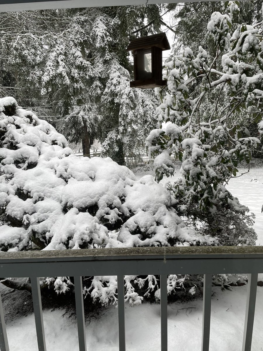 cafiffle.bsky.social tweet media