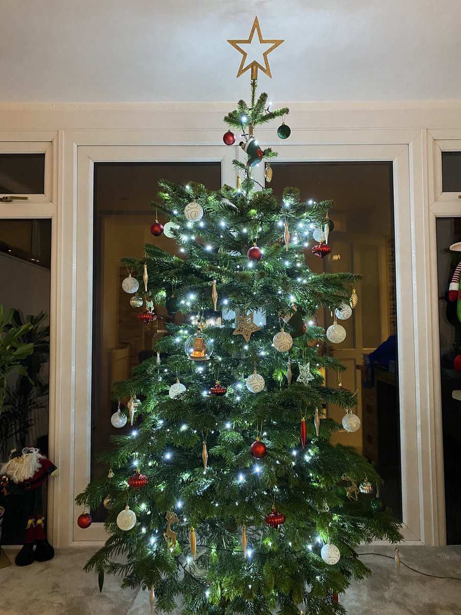 faye_burnell's tweet photo. @williamhanson #pickytree https://t.co/vVh38KloN2
