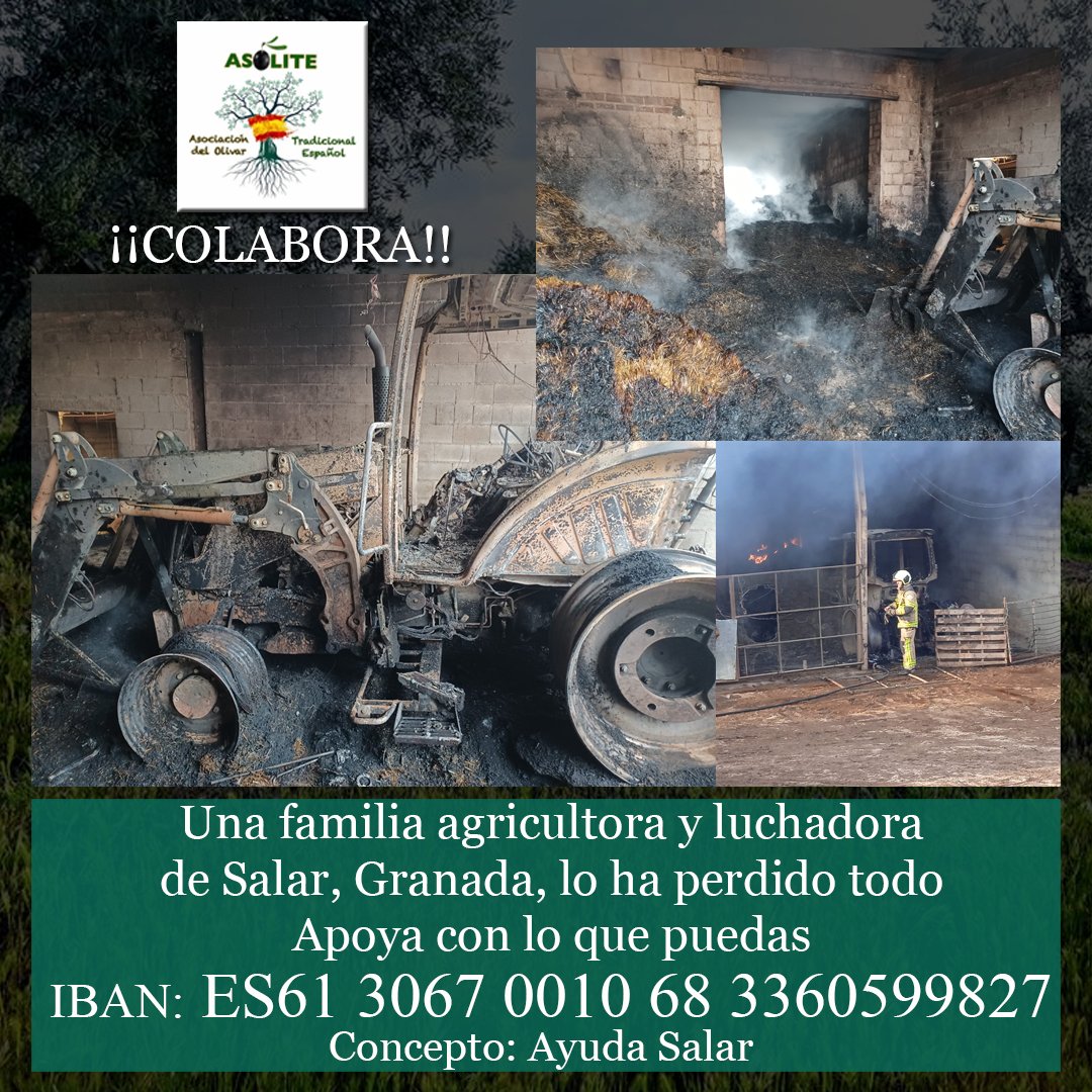 asolite30120's tweet photo. Desde ASOLITE hacemos un llamamiento a tod@ el mundo que quiera colaborar con esta familia. Podéis hacerlo haciendo un ingreso con el concepto AYUDA SALAR a la siguiente cuenta: IBAN: ES61 3067 0010 68 3360599827
#ASOLITE
#DefensaOlivarTradicional
#TuLuchaEsNuestraLucha https://t.co/x1PLmHng0l