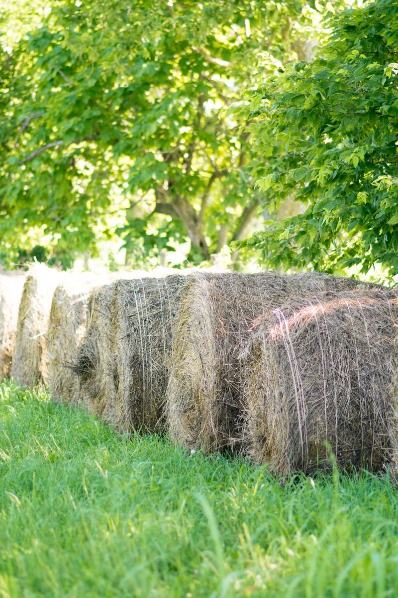 The Food Connection is now hiring for THREE full-time positions! ⏰  These Value Chain Coordinators will work to cultivate relationships in KY. Apply by January 8.

Eastern KY >> bit.ly/3HiMhR3
Central KY >> bit.ly/3VDnVWt
Western KY >> bit.ly/3FAyB2G