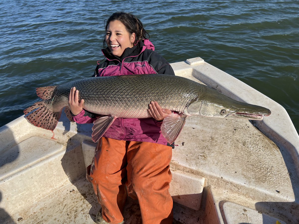 I GOTTA HUG A GATOR GAR