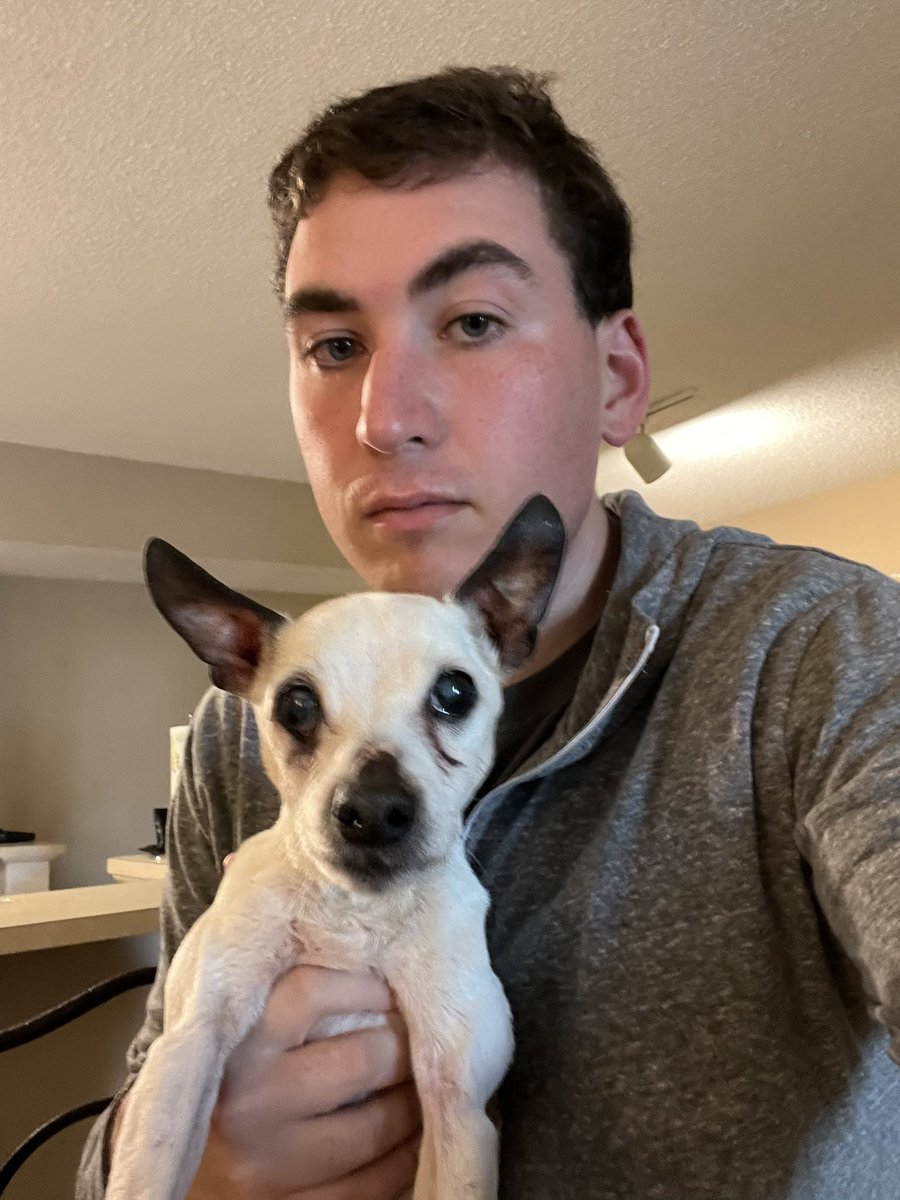 Jake Elman tweet media