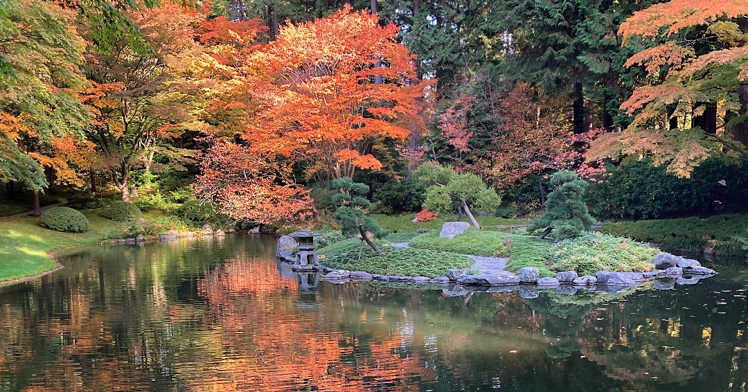 Nitobe is a beautiful place to visit all year round. Visit us Wednesday - Sunday from 10 am - 2 pm. 

"Such a beautiful place to visit during fall season! I will visit again to see cherry blossoms next year!" - NN

📸: Guy Dugas

#nitobegarden #japanesegarden #ubc