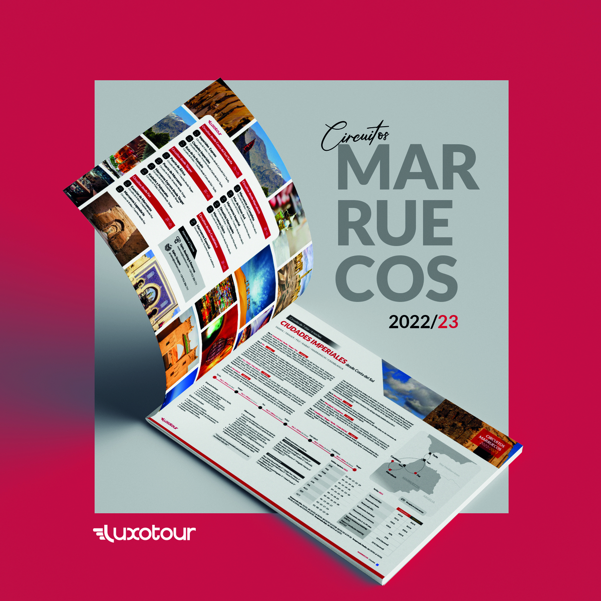 Luxotour tweet media