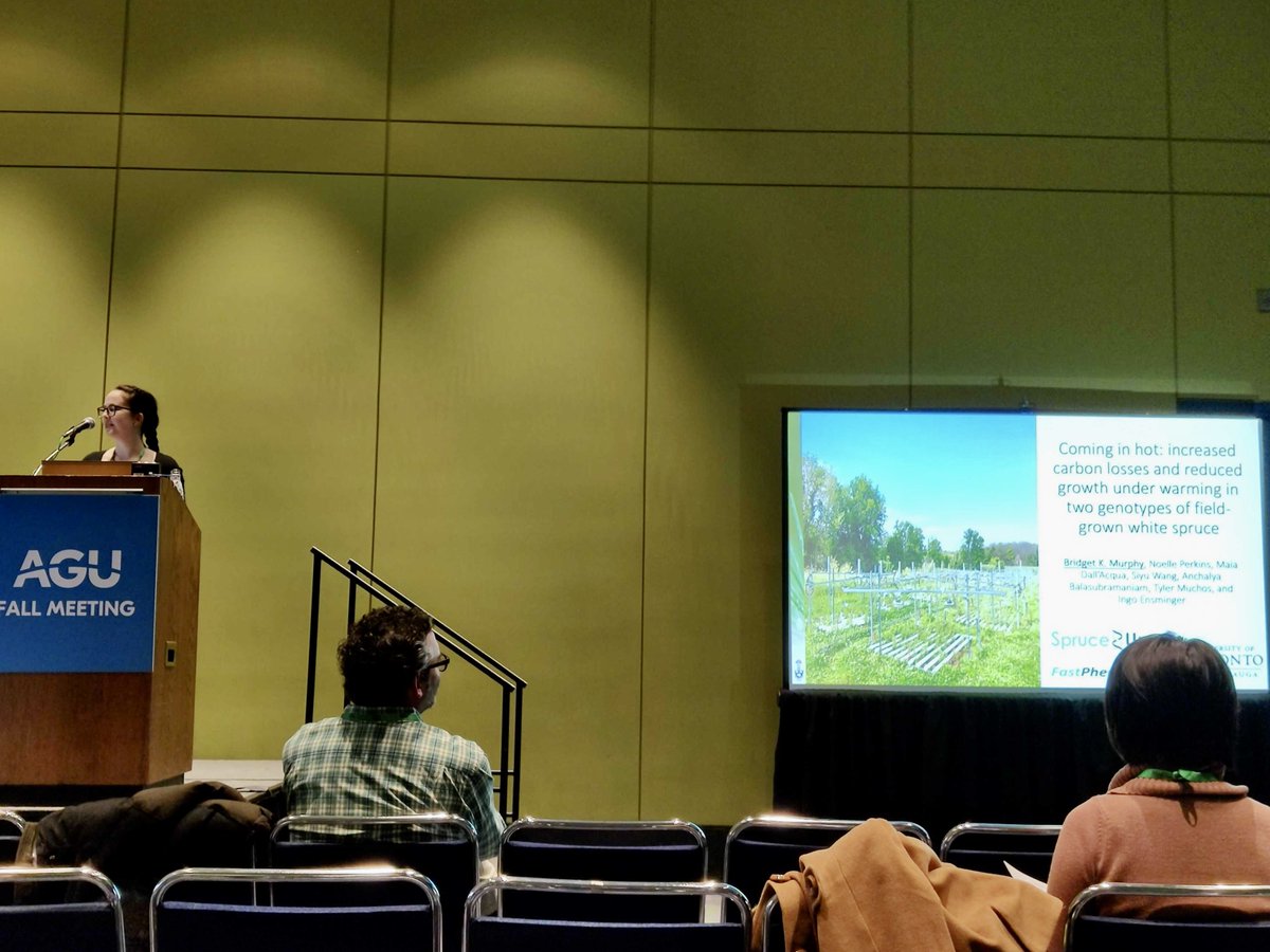 ensmingerlab's tweet image. Congrats to Bridget for receiving the Forest Ecophysiology Oral Presentation Award for her recent talk at #AGU22 titled “Coming in hot: increased carbon losses and reduced growth under warming in two genotypes of field-grown white spruce”!  @LICOR_ENV @theAGU @botanywithbee