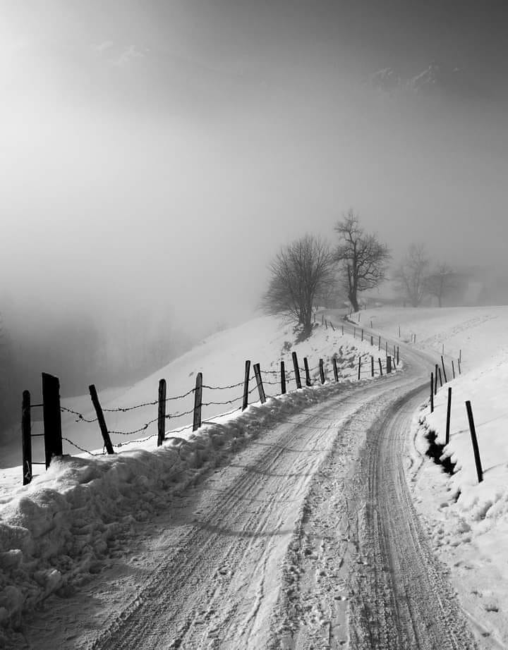 fraveris's tweet photo. A Winter's Tale 

Guido Krüttgen https://t.co/paaWPs7VrT
