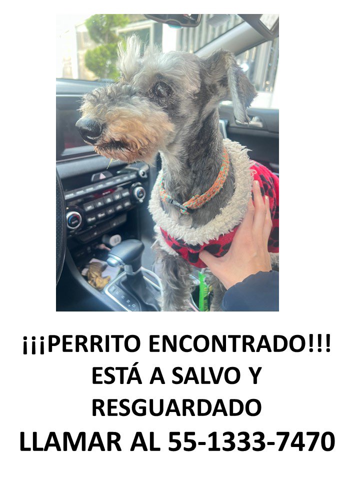 lauripimentel's tweet photo. Me encontré este perrito por circuito científicos, en satélite. Si me ayudan a compartir, se los agradeceré! 🙏🏼🙏🏼🙏🏼. https://t.co/FWAvSB0MJK