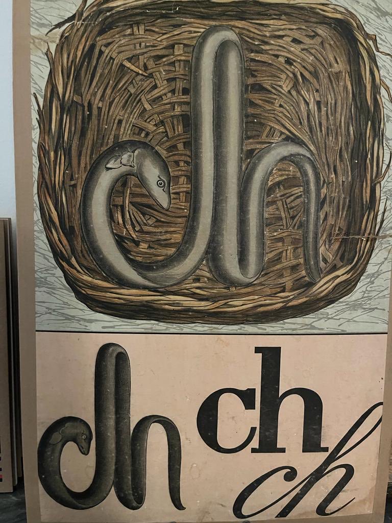 Sylvia Witteman tweet media