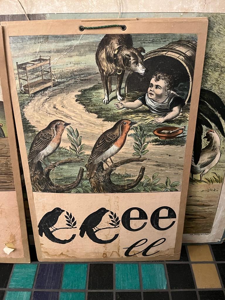 Sylvia Witteman tweet media