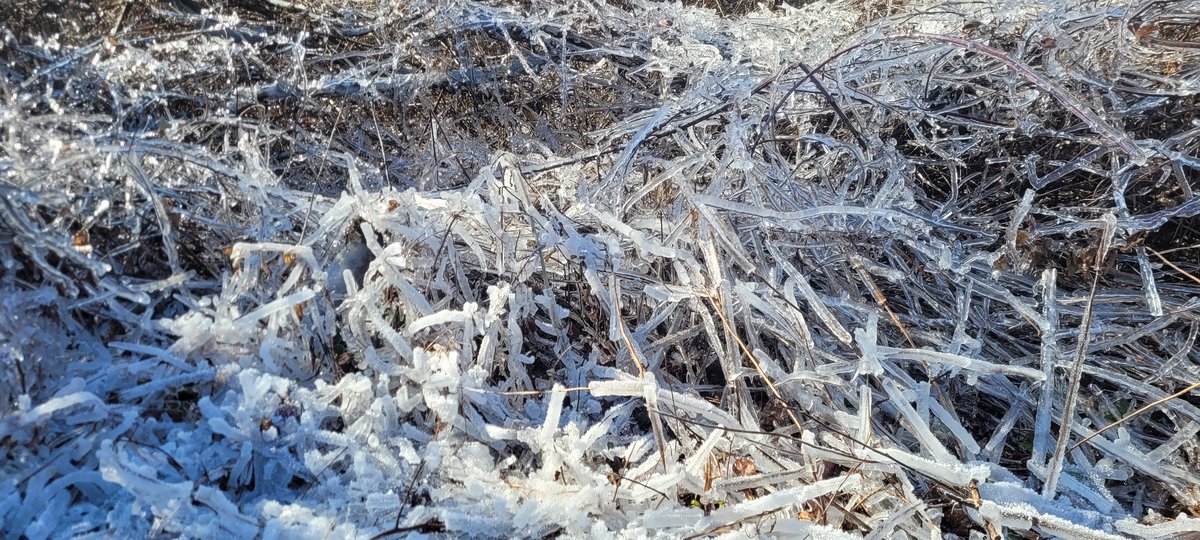WHSVCaleb's tweet image. Skyline drive is still frozen with ice. Its currently closed to the public. We'll more on @WHSVnews at 5 and 6.
