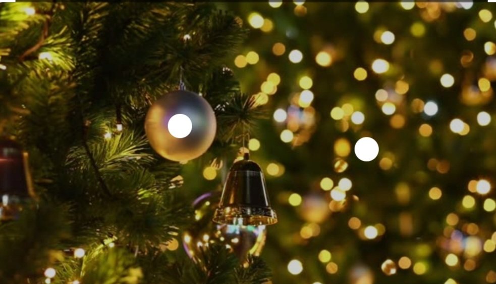 Just a reminder that tomorrow is our last day of bowling until after the holidays.  Bowling will resume January 4th.  Also remember tomorrow  to wear your festive Christmas clothes/hats 🎄🦌🦌🎅