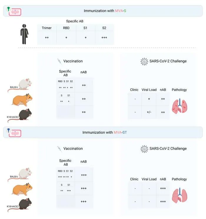 Journal of Clinical Investigation tweet media