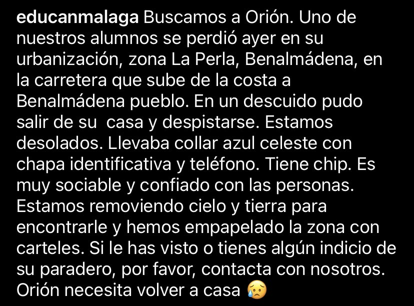 AguilaWoman's tweet image. Agradecería RT

 ¿Algún veterinario de la costa malagueña que pueda mover esta alerta?