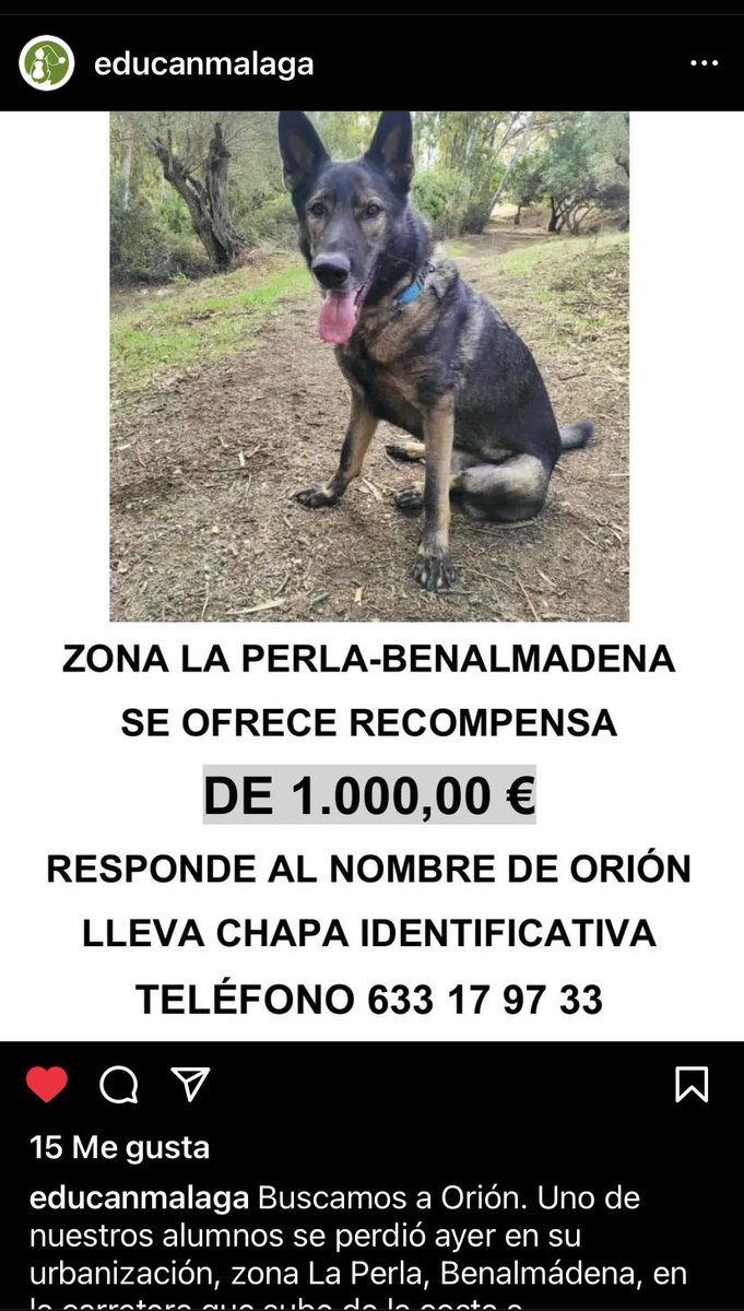 AguilaWoman's tweet image. Agradecería RT

 ¿Algún veterinario de la costa malagueña que pueda mover esta alerta?