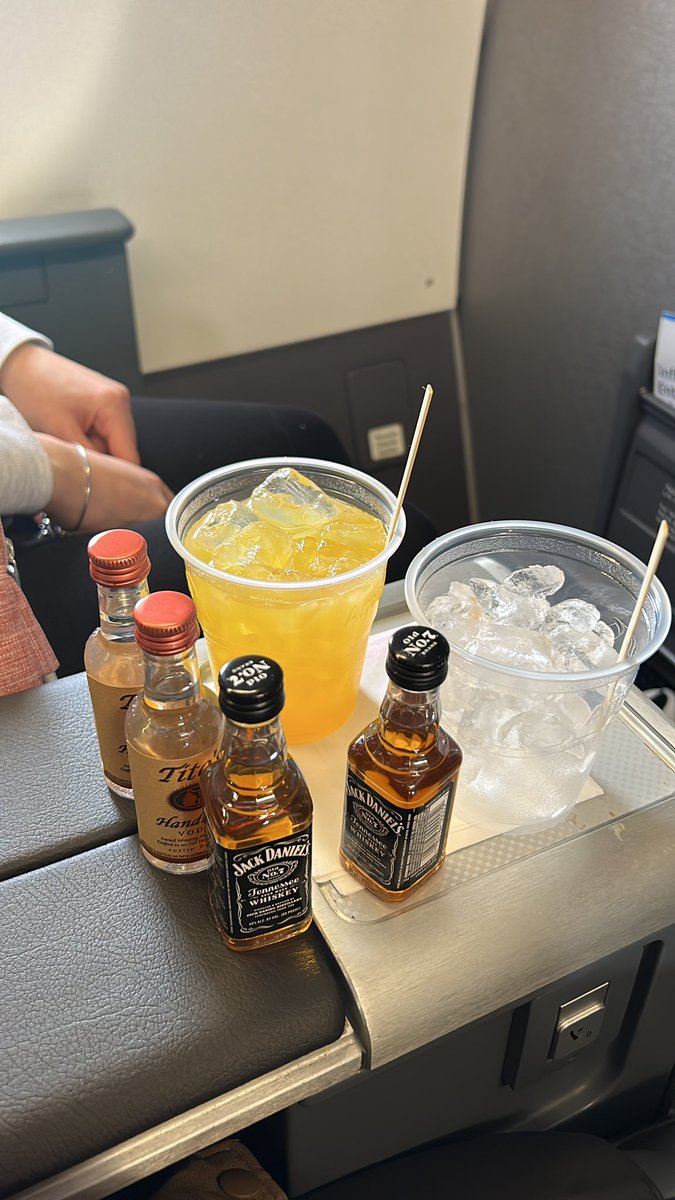 Travel tip. Always pay for the first two seats so they can carry you off the plane easier. 

Follow me for more travel tips. 

#GangGang