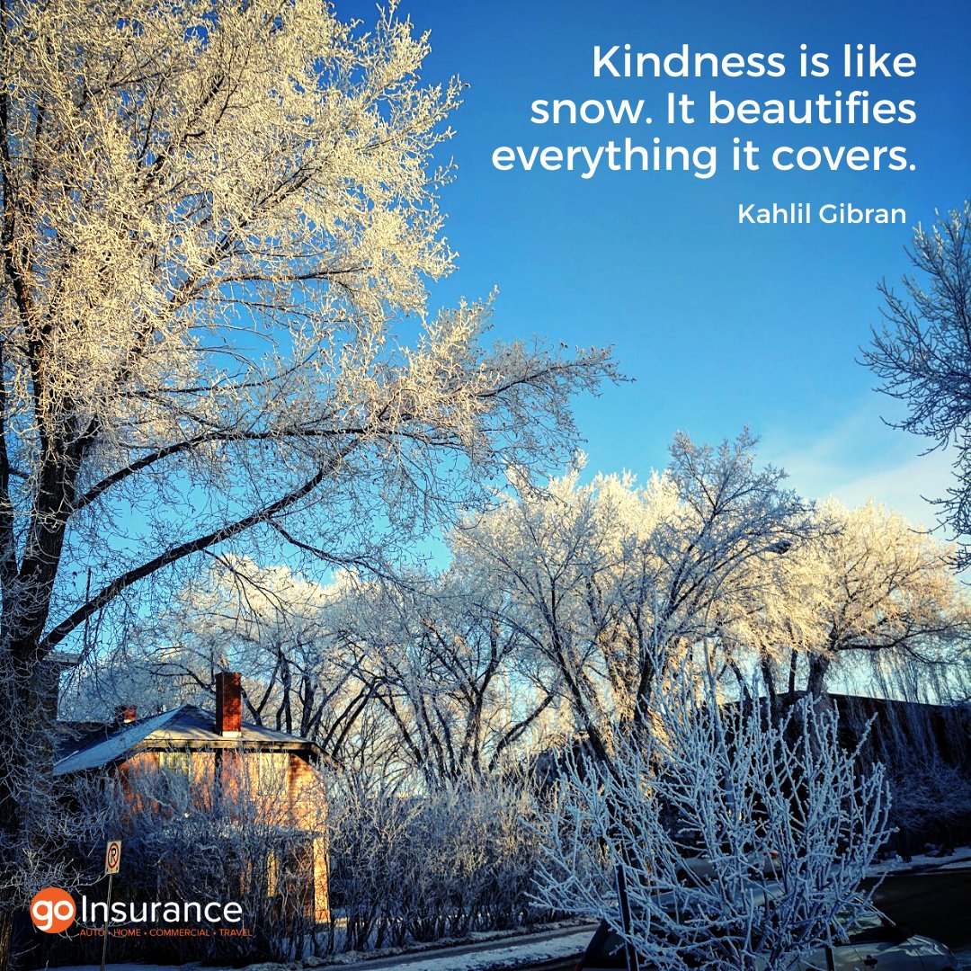 InsuranceGoauto's tweet photo. #goinsurancecares #GoInsurance #quotes #quoteoftheday #quotestoliveby #insurance #yeg #albertabusiness #albertacanada #alberta #edmontoninsurance #edmonton #reddeer #calgary #fortmcmurray #stalbert #sherwoodpark #leduc #devon #insurance #home #property #renovations #medicinhat https://t.co/AwnPeuzpQw
