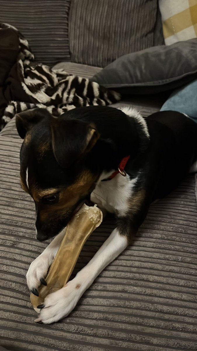 President_LABC tweet media