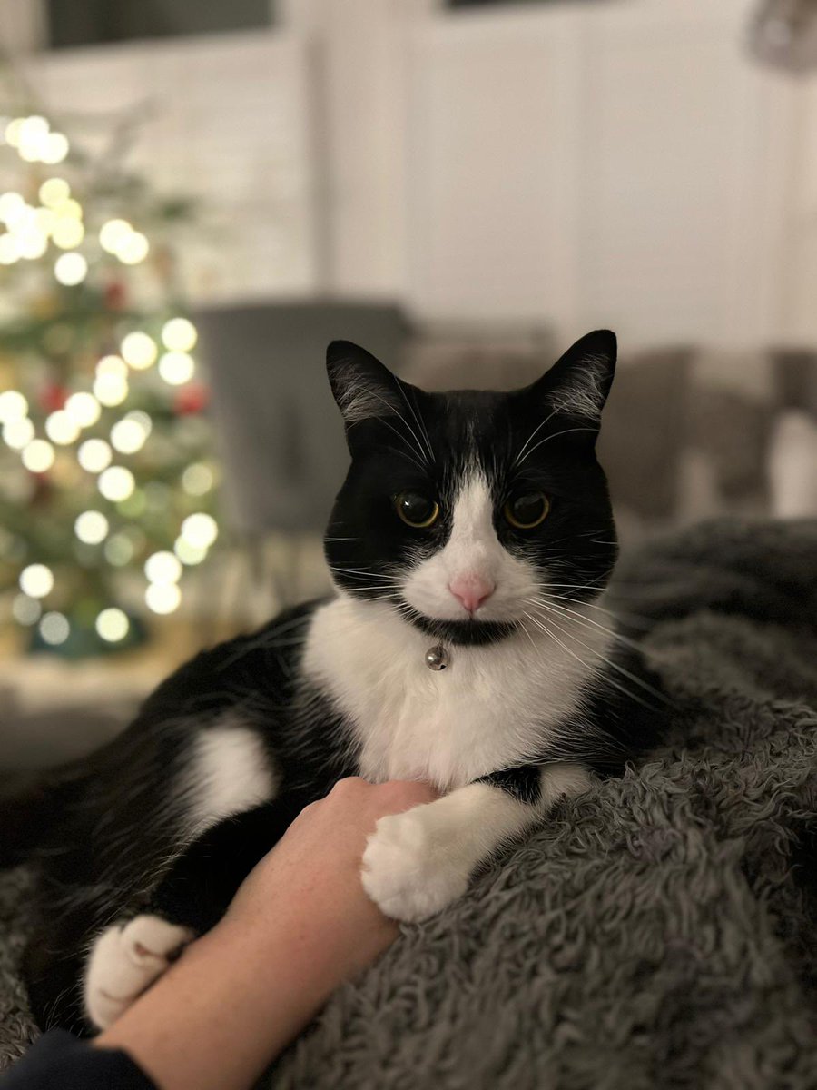 President_LABC tweet media