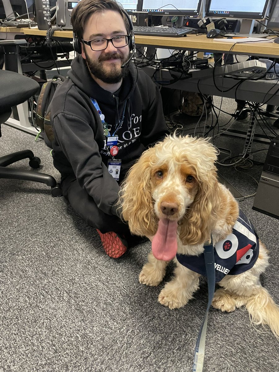 Northants Police Wellbeing Dogs tweet media