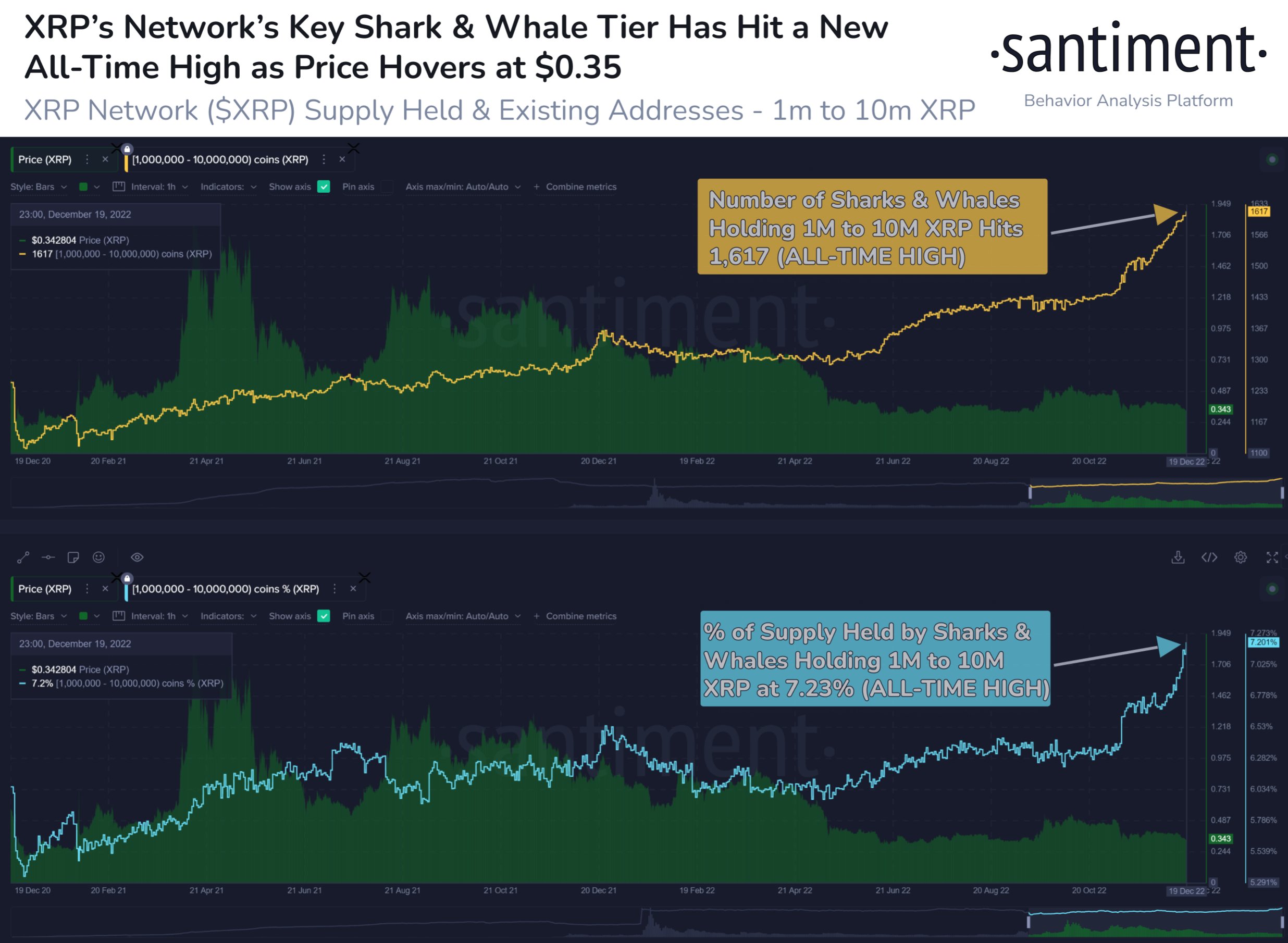 XRP Accumulation: Key Sharks And Whales Group Hits All-Time High Holdings