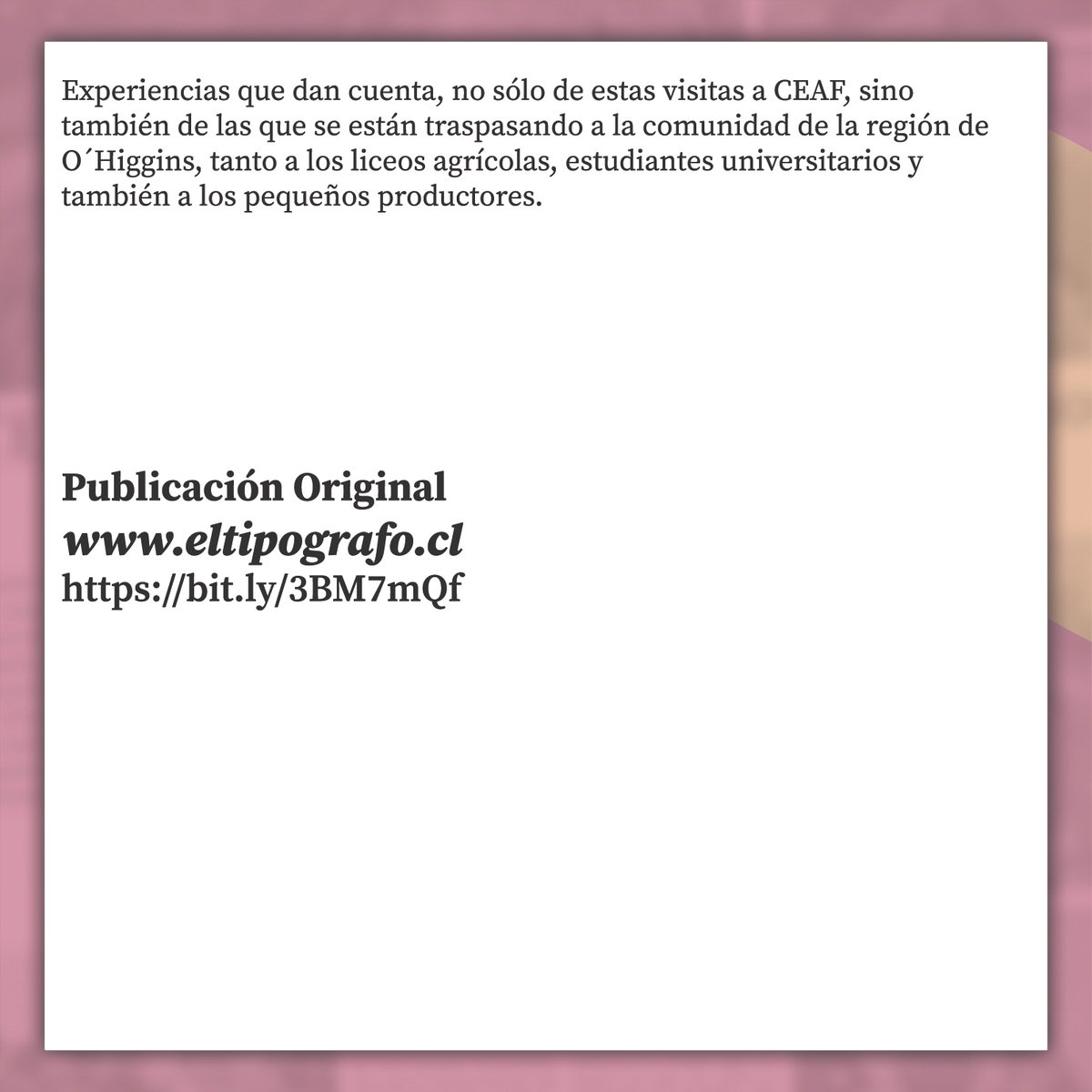 CEAF tweet media