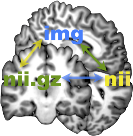 nitrc_info's tweet photo. The main aim of the Neuroimaging Made Easy Blog is presenting some scripts that can be used to facilitate and automate processing and analysis of brain data. https://t.co/sCnVW2EcGf #openscience, #freesurfer, #neuroimaging https://t.co/ns4Tyqj599