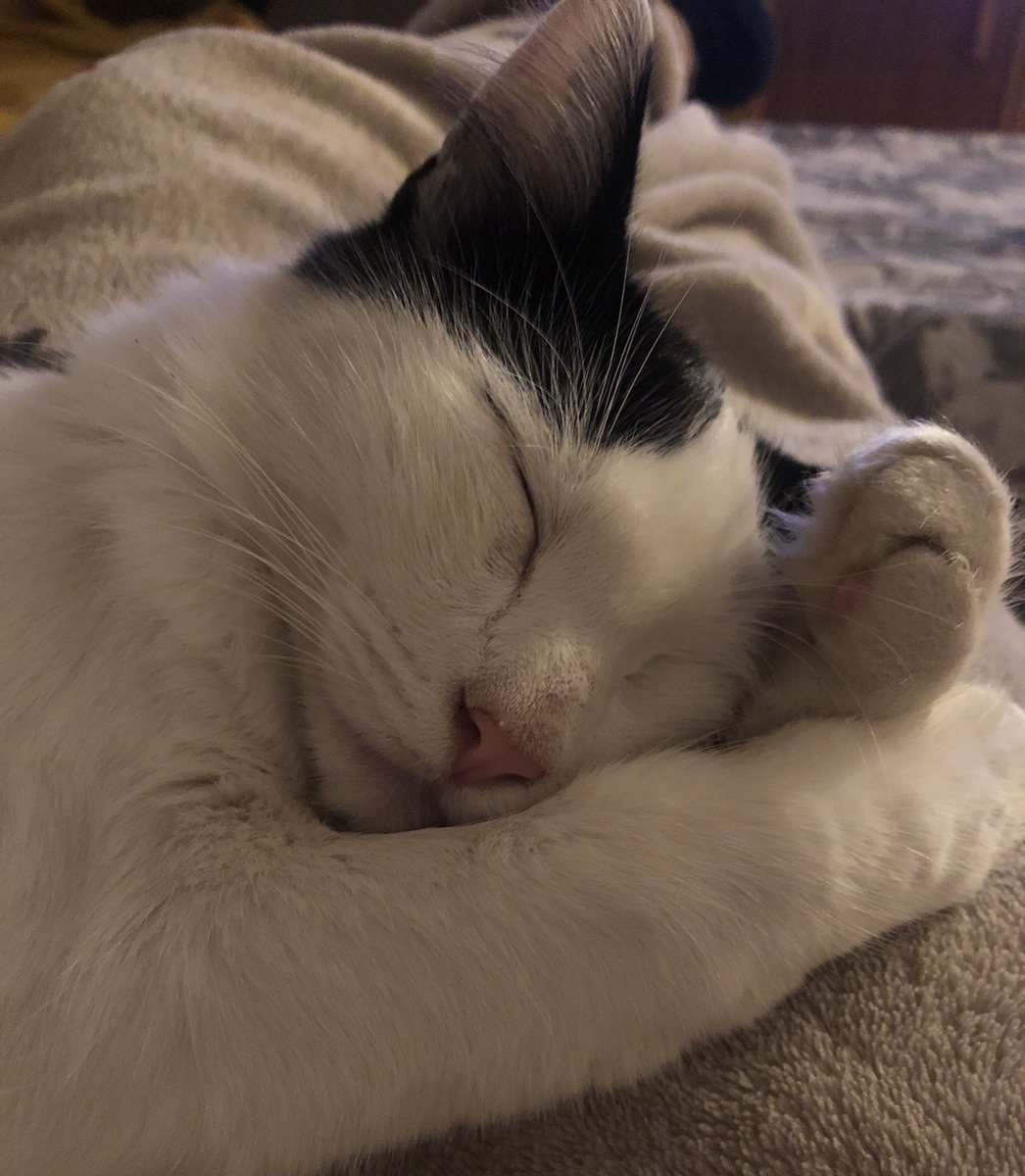 pinkynat_'s tweet photo. Echo de menos a mi wilson🖤 https://t.co/e8T5OnOvxm