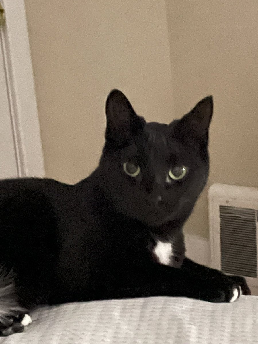 Christina tweet media