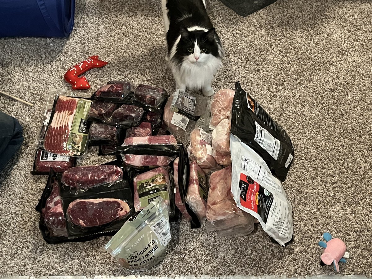 Coy_Stream's tweet photo. @butcherbox Kitty says thanks. https://t.co/Dv4d0hBFbm
