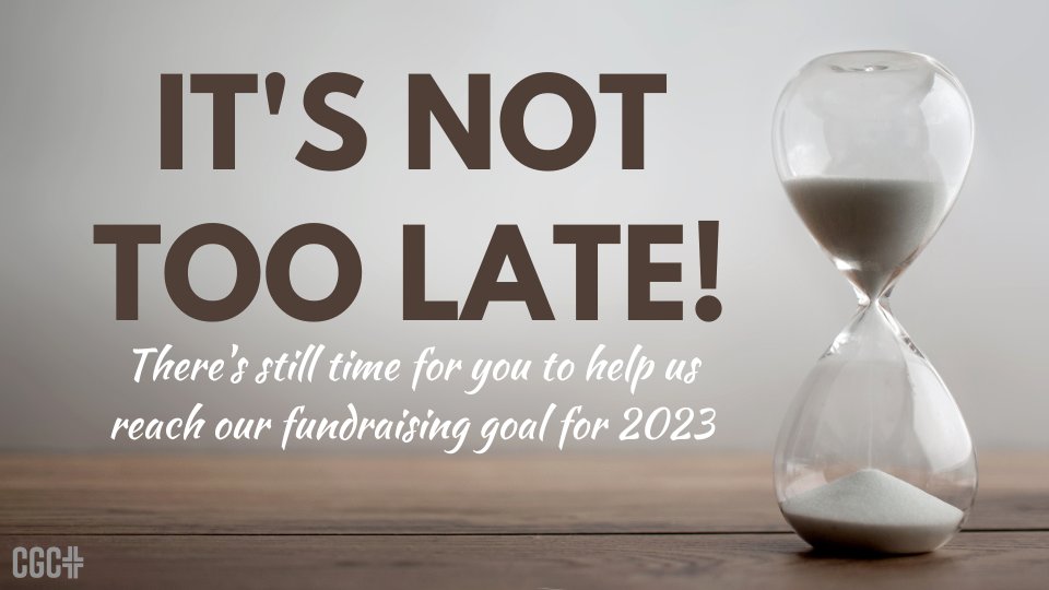 It's Not Too Late! Will you help us reach our 2023 Fundraising Goal?  - mailchi.mp/11598fe24fd8/i…