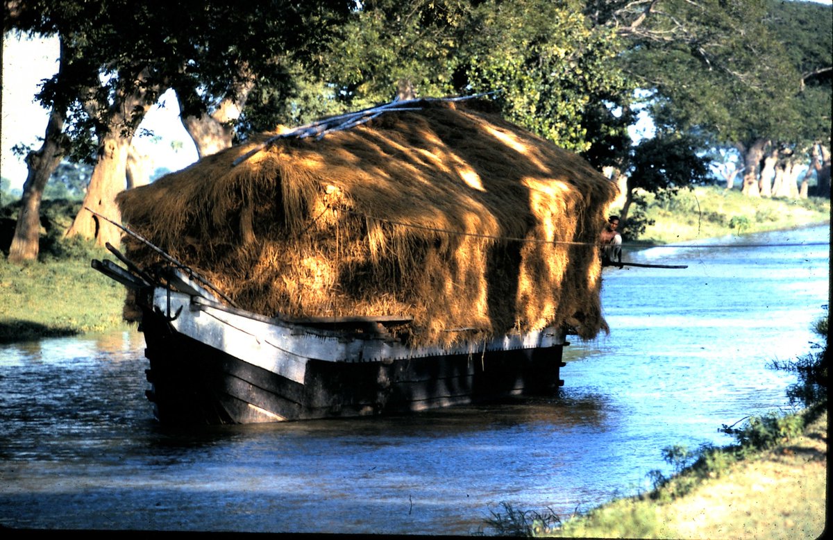suryanandannet's tweet photo. Taladanda Canal : 1960s
୬୦ ବର୍ଷ ତଳେ ଆମ ତାଳଦଣ୍ଡା କେନାଲ - କଟକ କେମିତି ଦେଖା ଯାଉଥିଲା , ଦେଖନ୍ତୁ . #taladanda #Cuttack https://t.co/mlesfZUVj4
