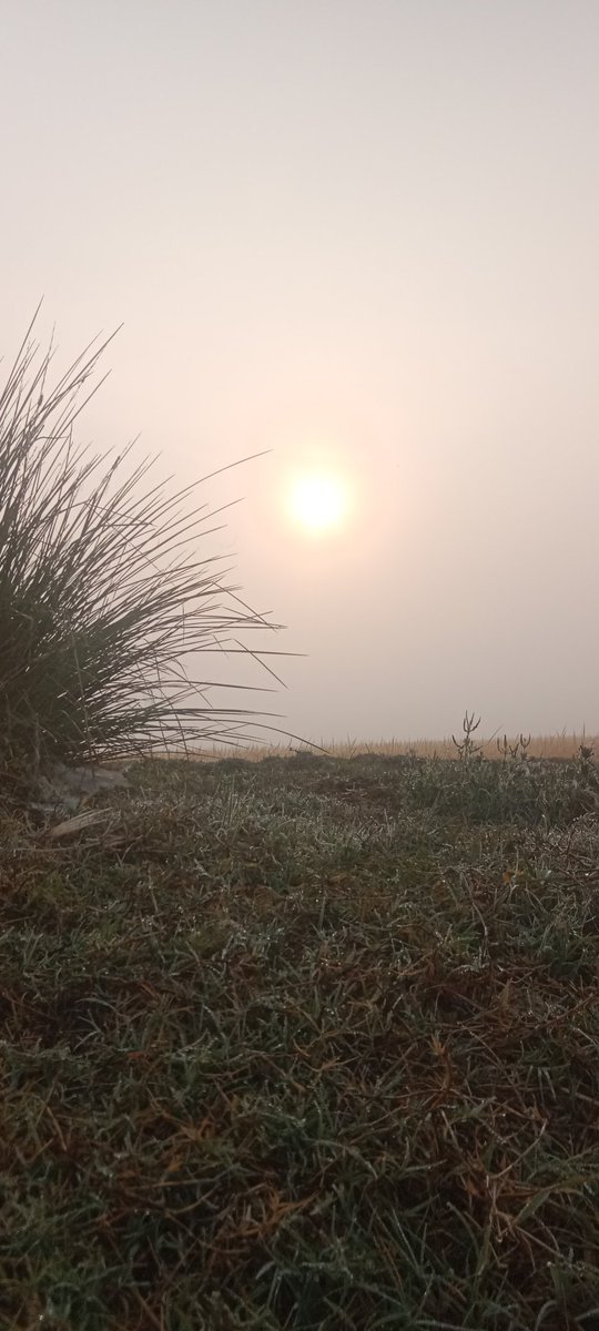 ଶୁଭ ସକାଳ