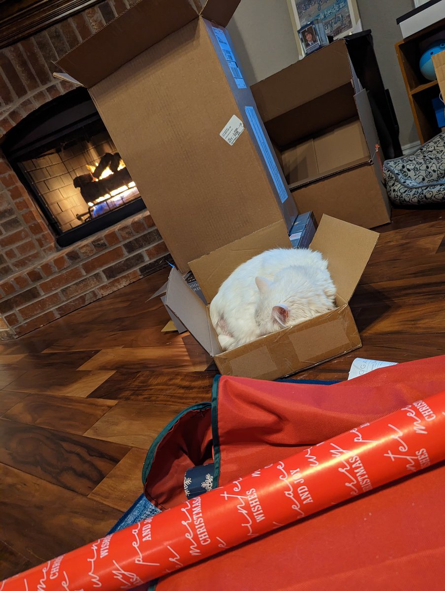 juspar75's tweet photo. #Cat is having #Christmas today, while @crystawrites is opening boxes and #wrapping. https://t.co/MG7mP0oo3p