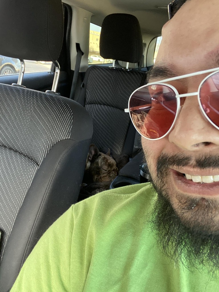 DiabLoco_'s tweet photo. Greta pretty much just lays down and gets some rest between stops. https://t.co/XmoXwypyUy https://t.co/JD9uyx0KV3
