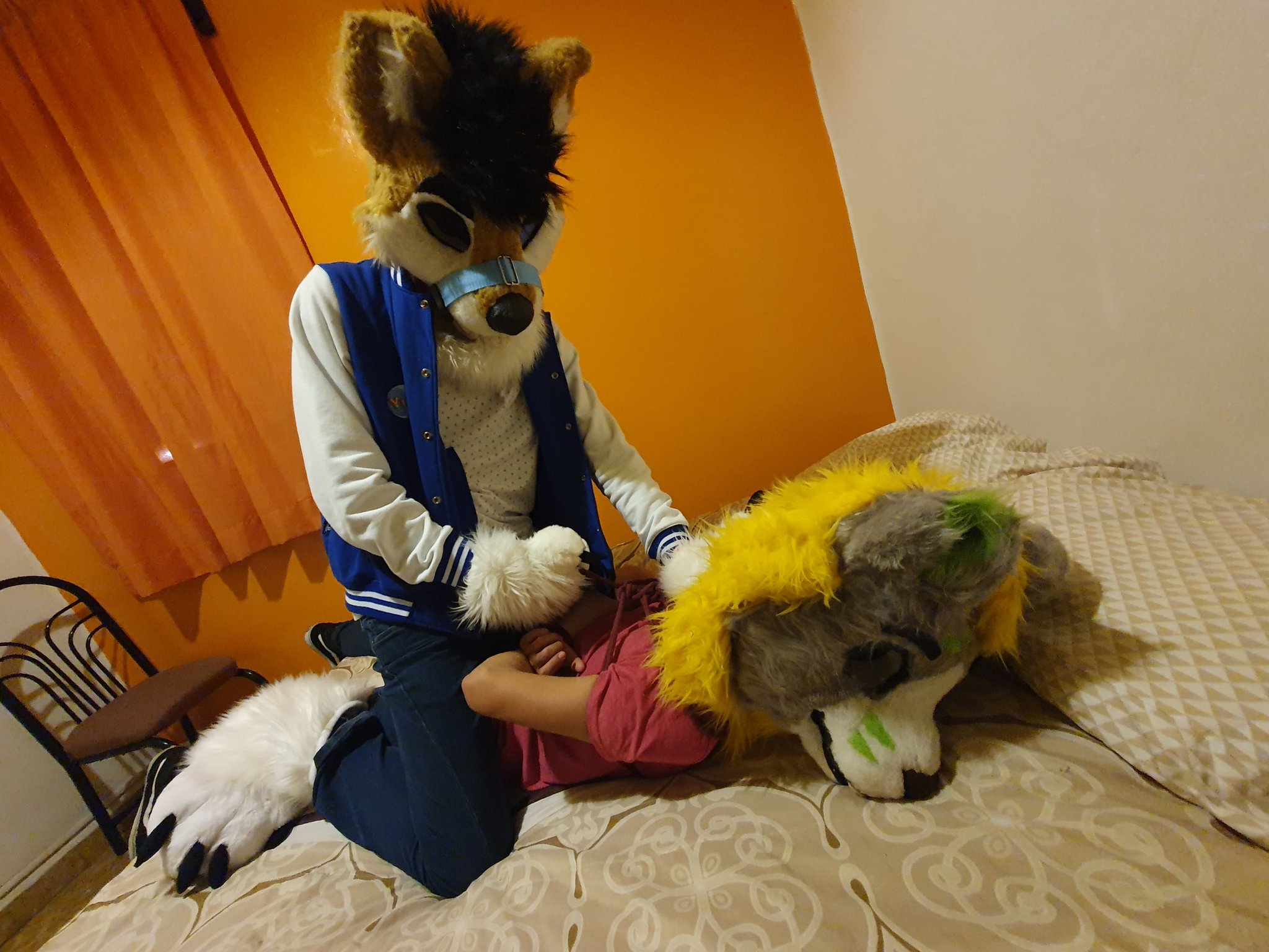 1 pic. the dog is about to do something :00
ft. @BadHusko 

#murrsuit #furrynsfw #murrsuiter #yiff #nsfwtwt