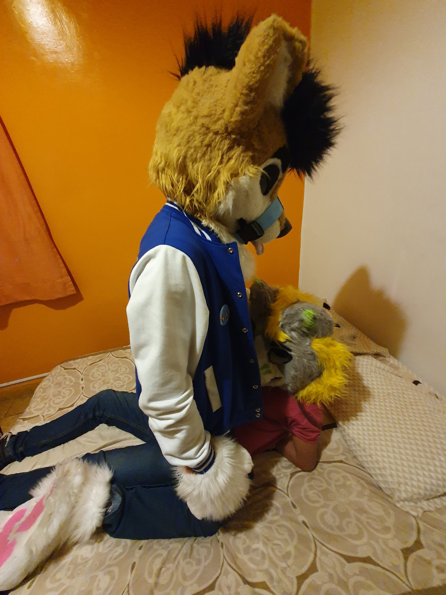 2 pic. the dog is about to do something :00
ft. @BadHusko 

#murrsuit #furrynsfw #murrsuiter #yiff #nsfwtwt