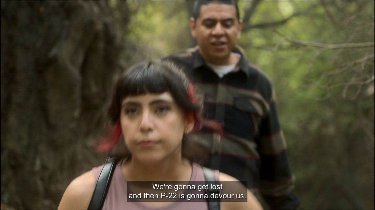 militantangleno's tweet photo. That time when P-22 got a massive shout-out on Episode 7 of @ThisFoolHulu.
#P22 #RIPP22 https://t.co/ivzO2kv8y0